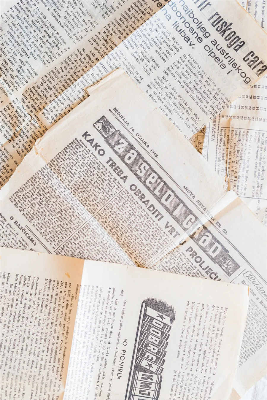 Old newspaper clippings — Root of Joy in the media