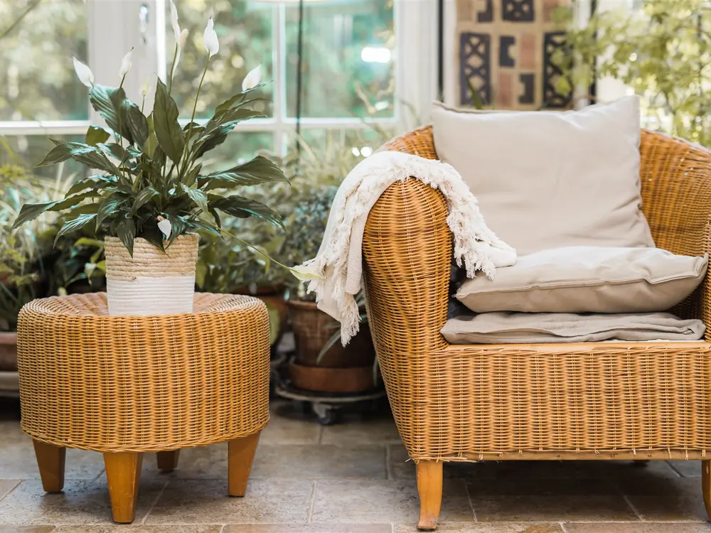 A wicker armchair and house plants in a bright home — KonMari® method guides