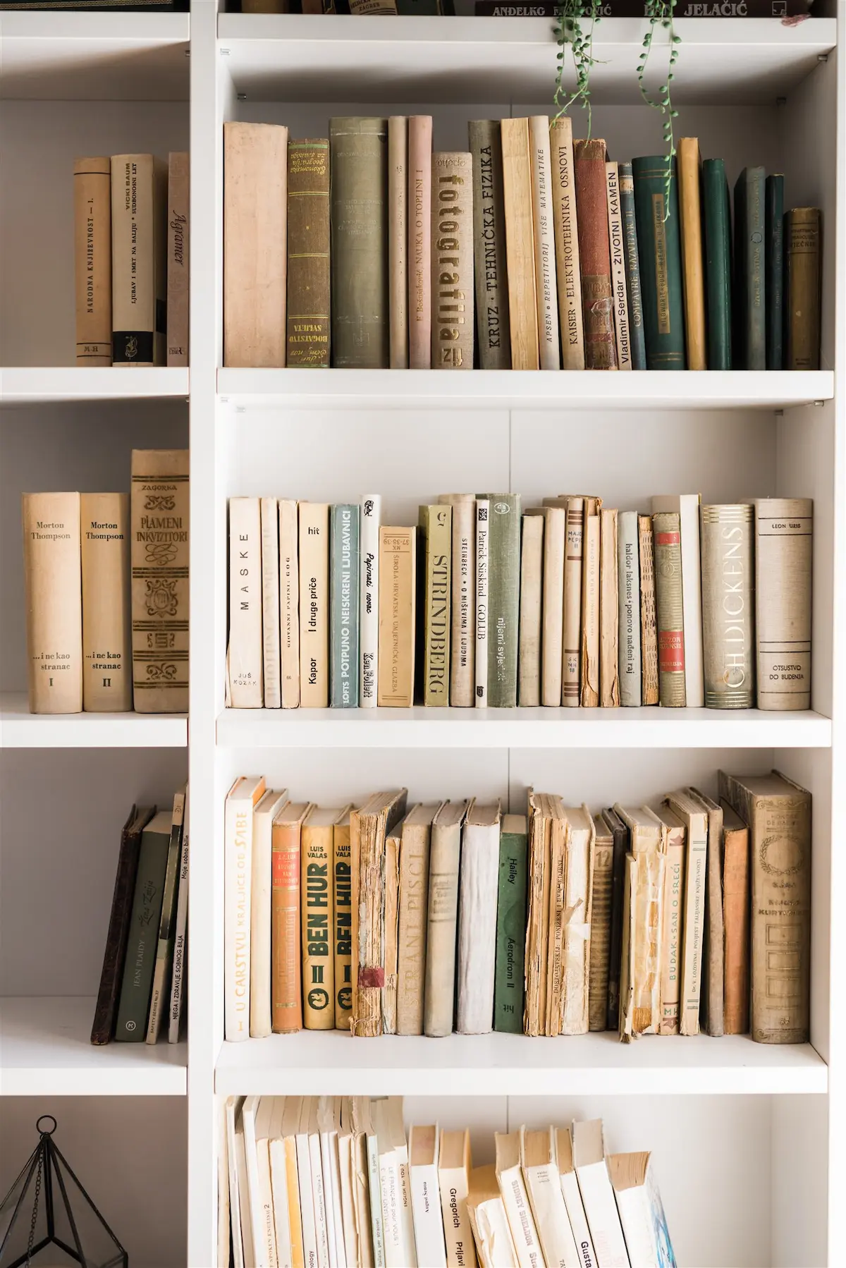 Organized bookshelves with neatly arranged books — space optimization and storage solutions in a Zagreb home
