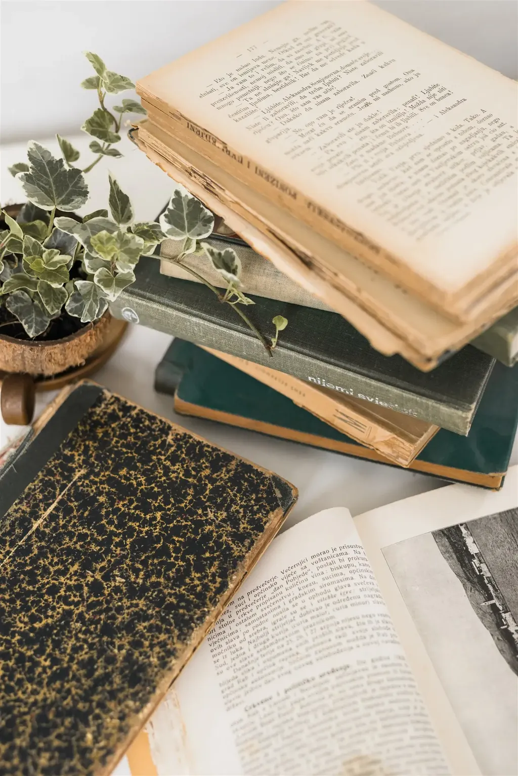 Old books, an open volume and ivy — the books and papers workshop through the KonMari® method