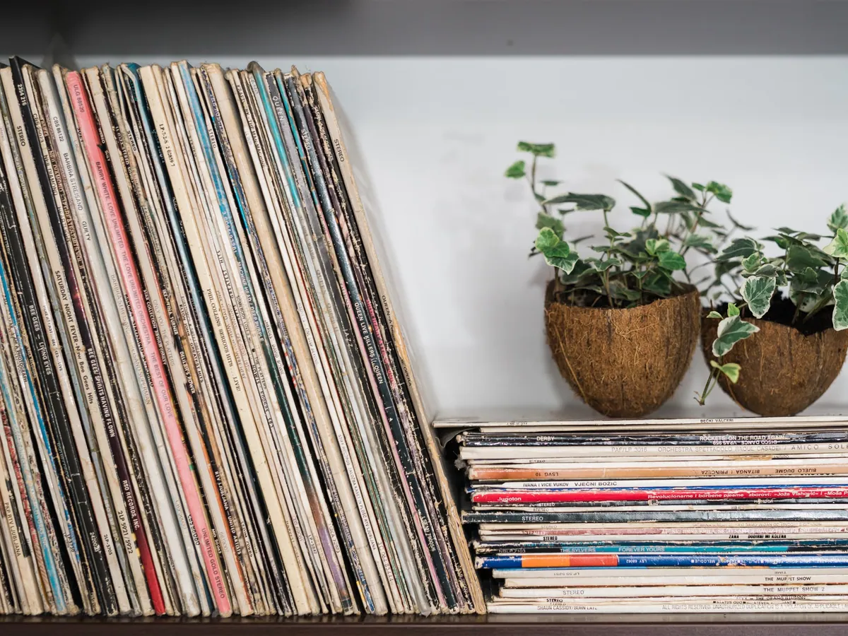 Vinyl records standing upright on a shelf beside ivy in coconut pots