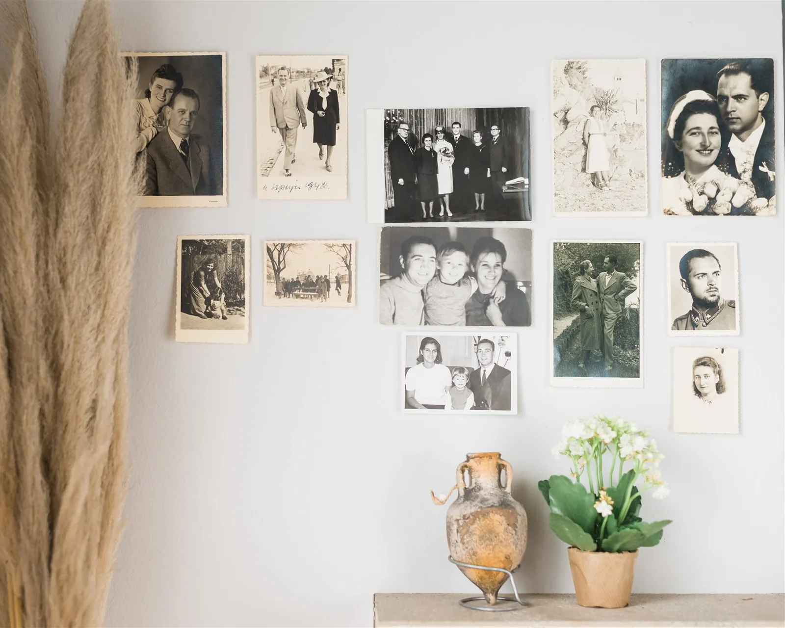 A wall of old family photographs with a clay amphora and a plant — sentimental items, the fifth KonMari® category