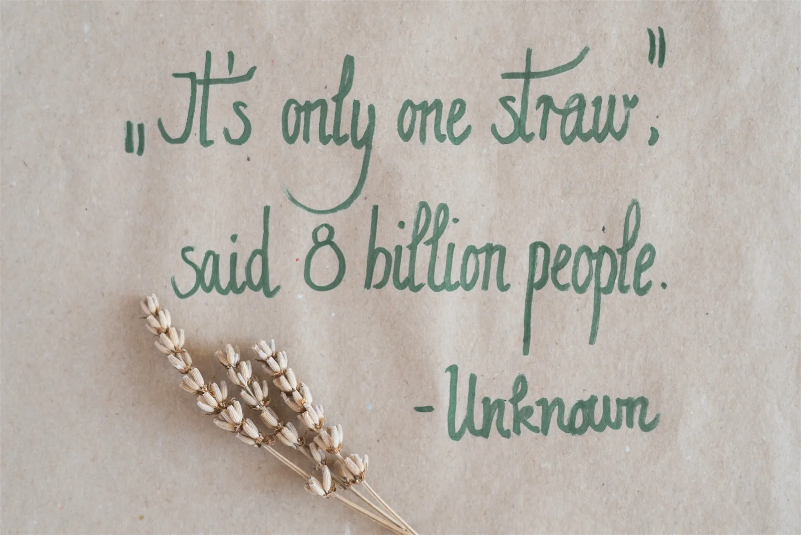A handwritten quote about a single straw in green ink on recycled paper, with dried lavender